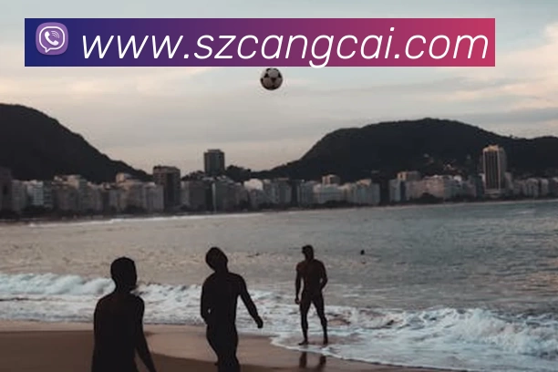 鸿运彩登录(中国)官方网站APP 封面图